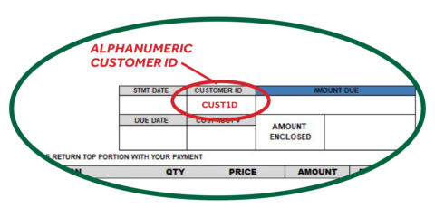 Customer ID Statement Graphic